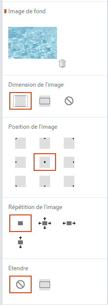 paramètre Options de fond d'une grid dans l'éditeur de Flexit