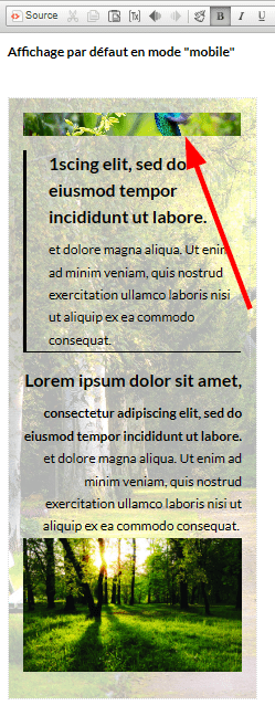 Affichage par défaut en mode "Mobile"