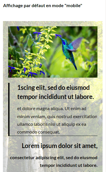 Affichage par défaut en mode "Mobile"