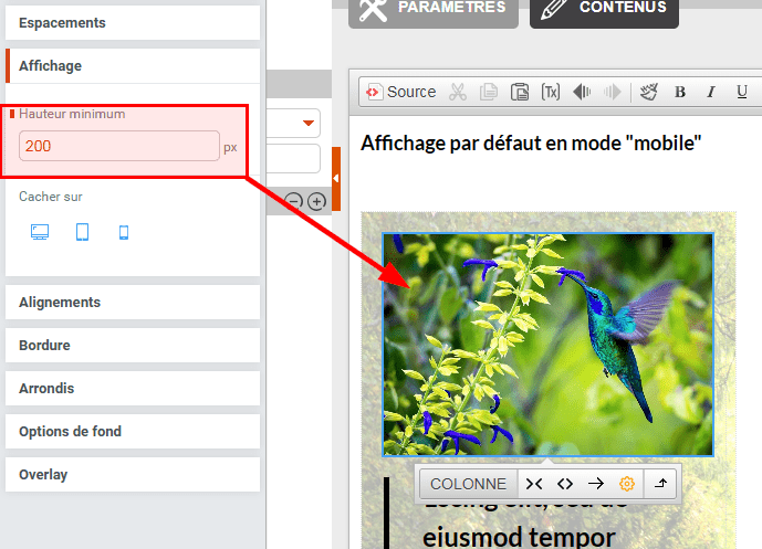 donner une taille minimum à la colonne que contient la photo du colibri