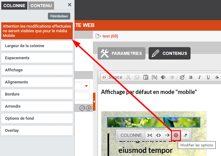 Clique sur la roue crantée qui ouvre la colonne paramètre en version mobile