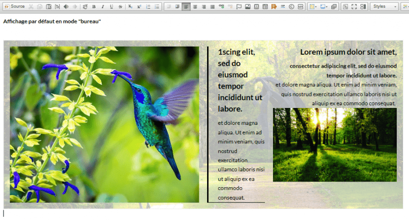 Affichage par défaut en mode "bureau"